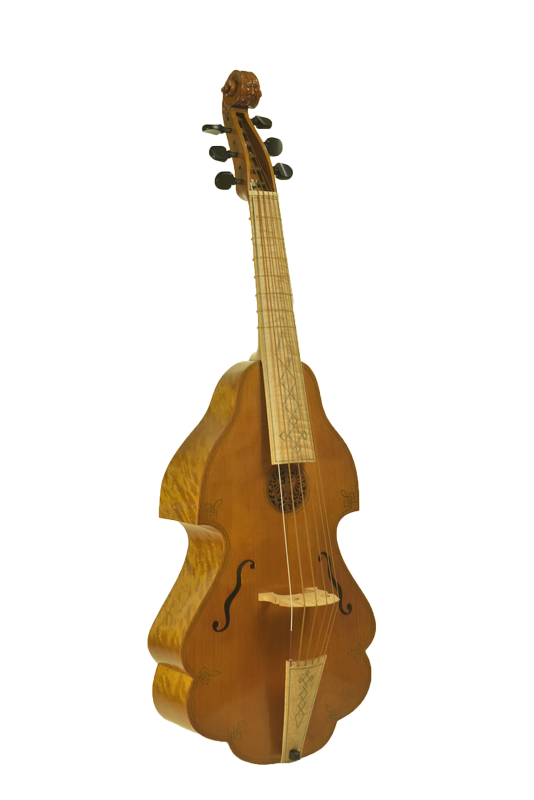 Viola da gamba Ernst Busch