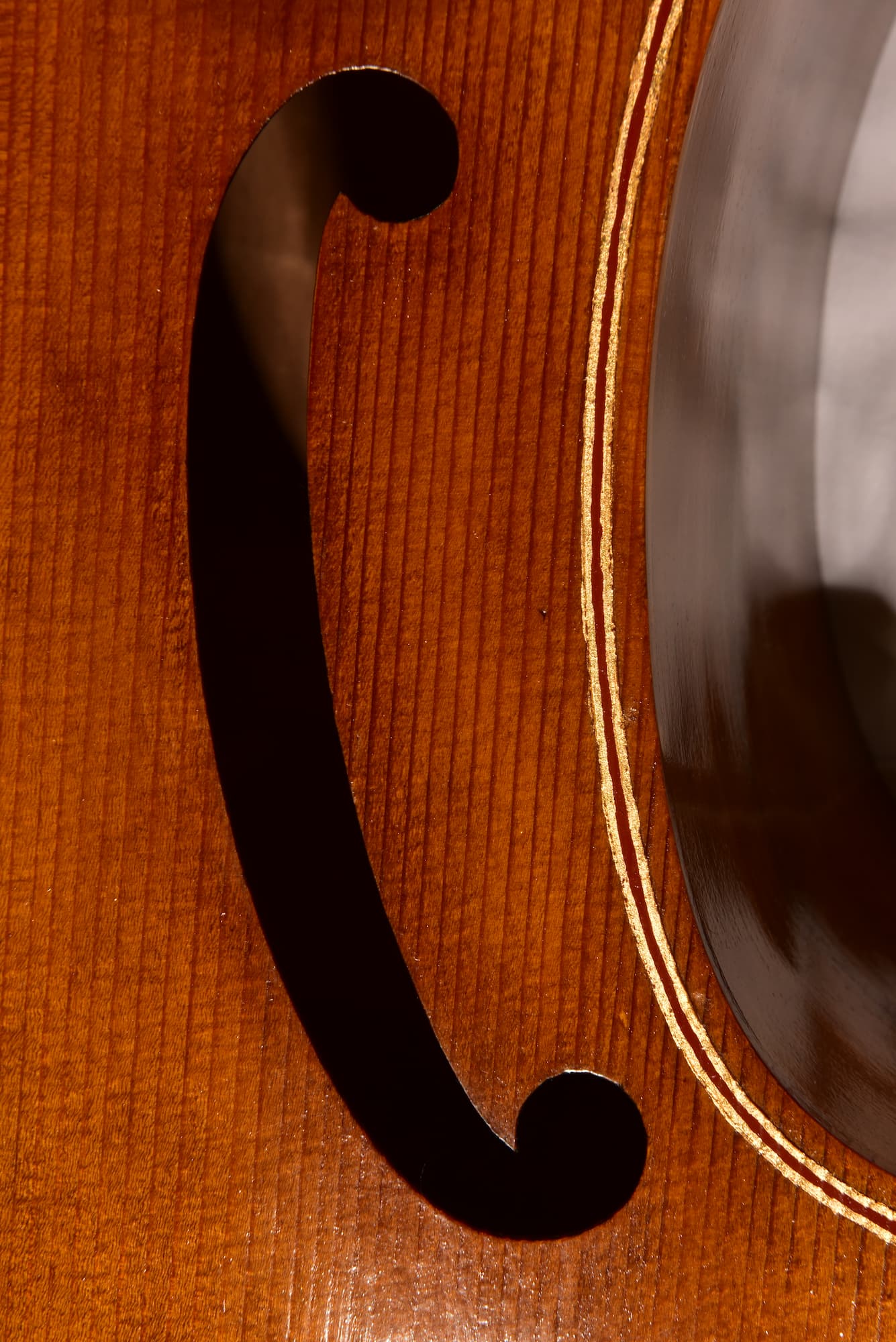 Bass viol Michel Colichon